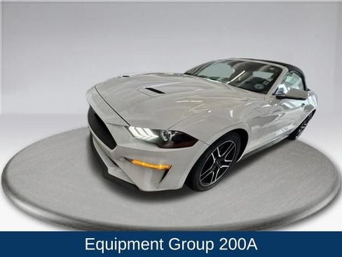 Used 2019 Ford Mustang Premium RWD image 5