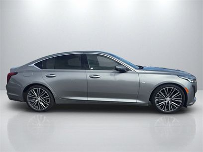 Used 2023 Cadillac CT5 Premium Luxury