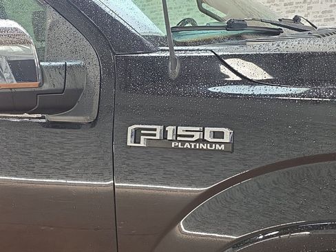 Used 2019 Ford F150 Platinum image 8