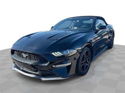 Used 2019 Ford Mustang Premium