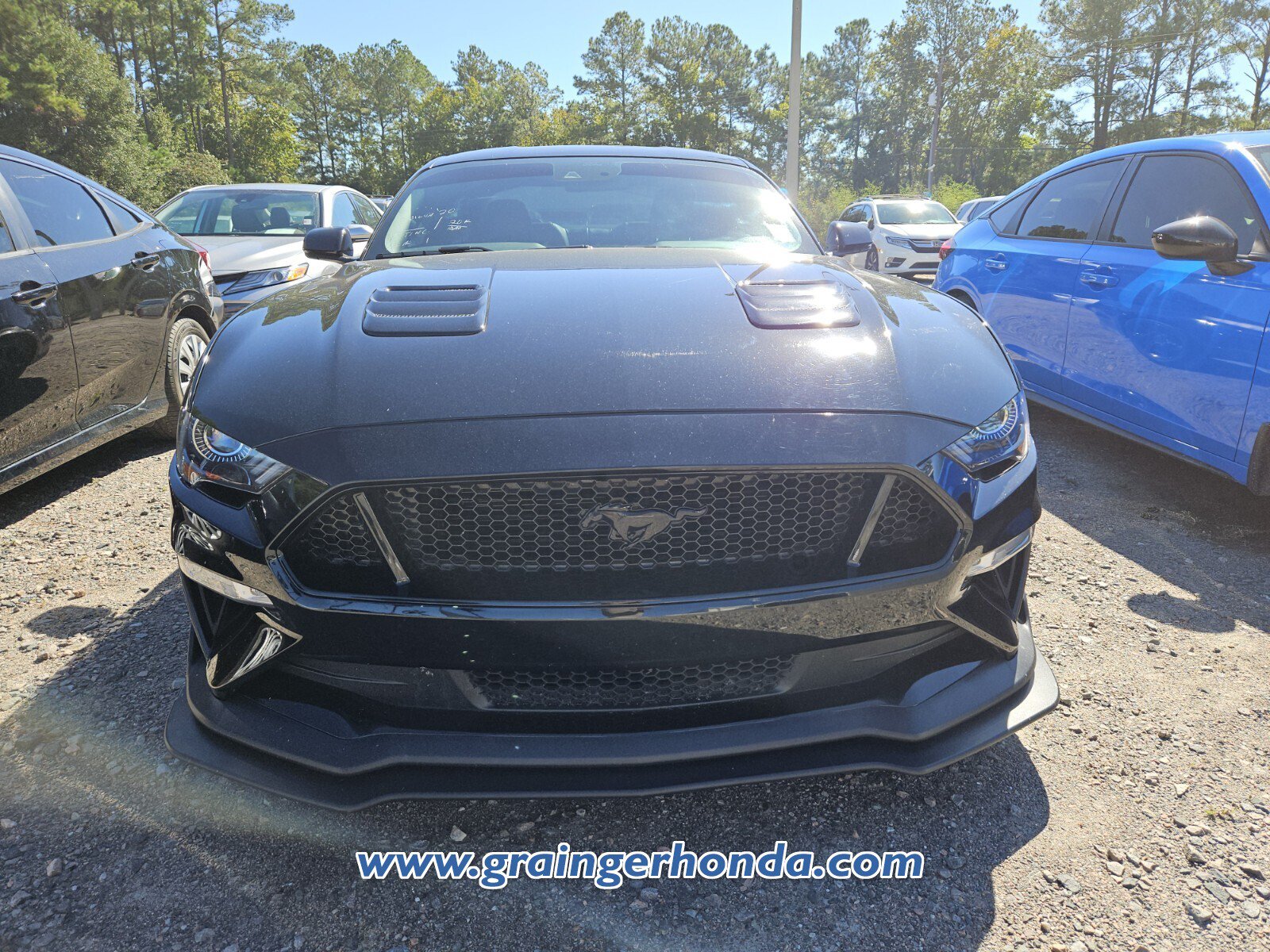 Used 2020 Ford Mustang GT Premium w/ Equipment Group 401A RWD image 3