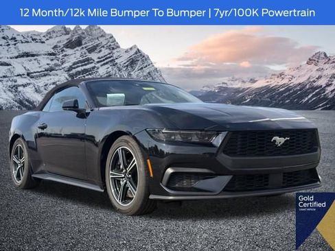 Used 2025 Ford Mustang Premium RWD image 1