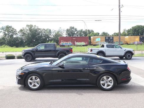 Used 2019 Ford Mustang Coupe RWD image 5