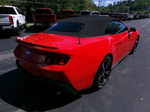 Used 2024 Ford Mustang Premium RWD image 10