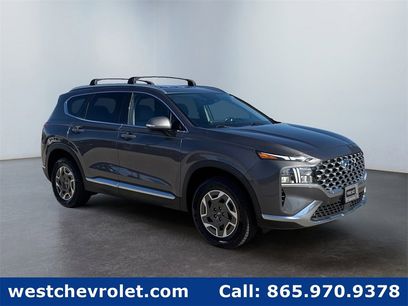 Used 2021 Hyundai Santa Fe Blue