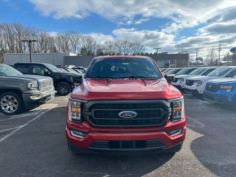 Certified 2023 Ford F150 XLT w/ Equipment Group 302A High image 2