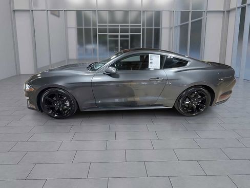 Used 2019 Ford Mustang Coupe w/ Equipment Group 101A image 5