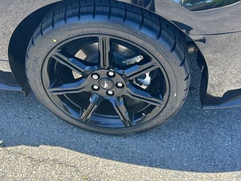 Certified 2020 Ford Mustang GT w/ Equipment Group 301A RWD image 6