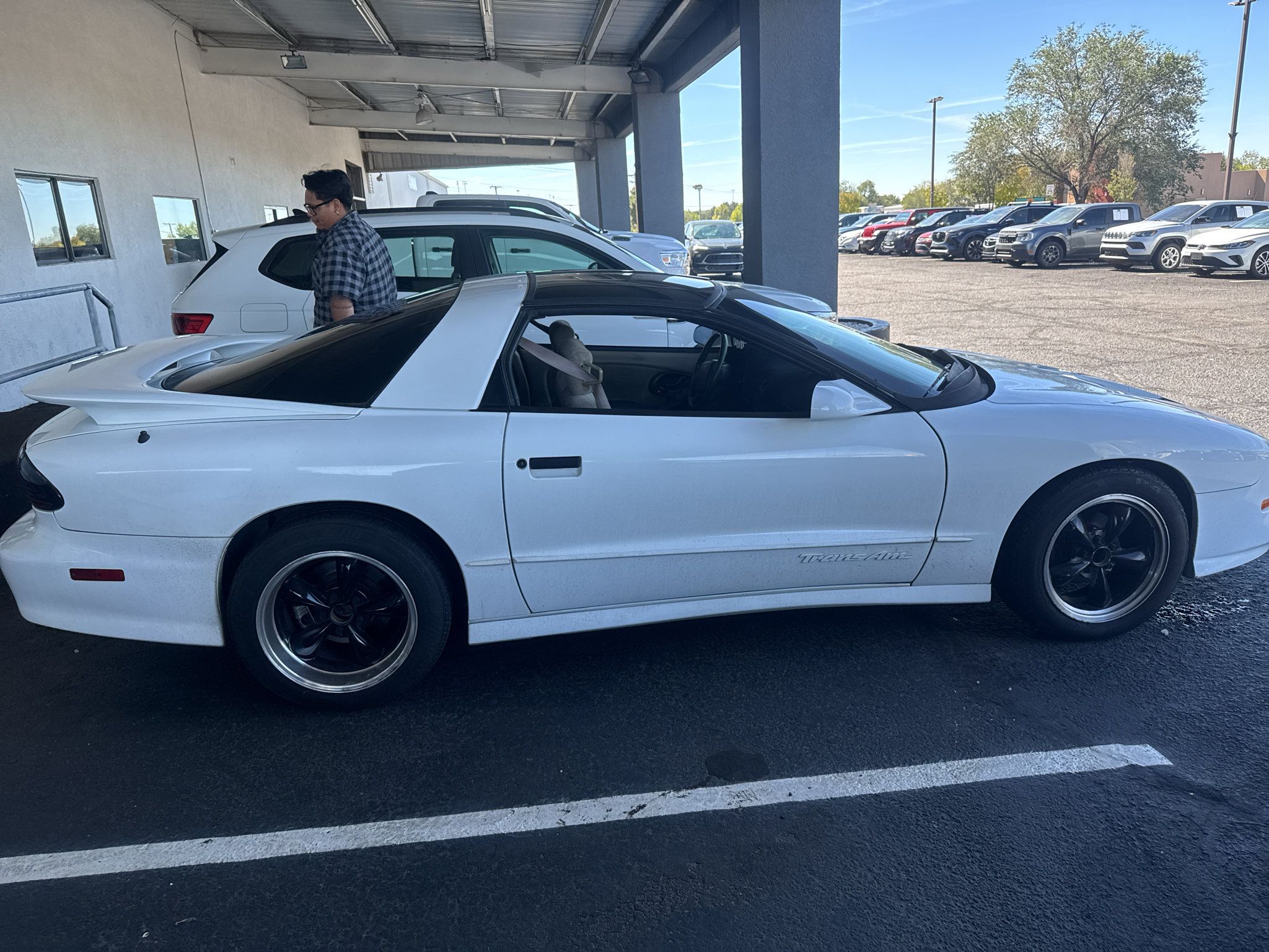 Used 1997 Pontiac Firebird Trans Am RWD image 4