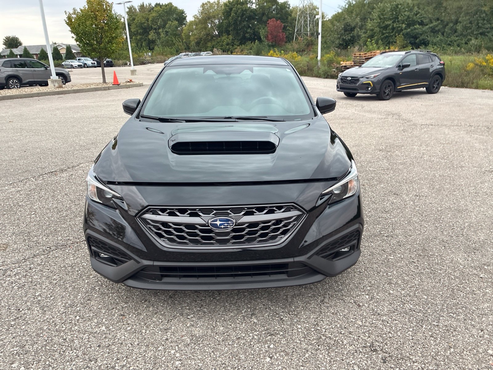 Used 2024 Subaru WRX Premium AWD/4WD image 7
