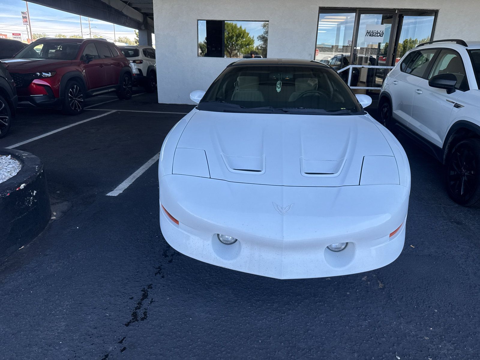 Used 1997 Pontiac Firebird Trans Am RWD image 2