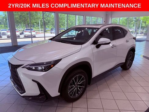 Certified 2025 Lexus NX 350h AWD w/ Accessory Package (K3) image 3