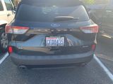 Used 2022 Ford Escape SE w/ SE Sport Appearance Package image 3