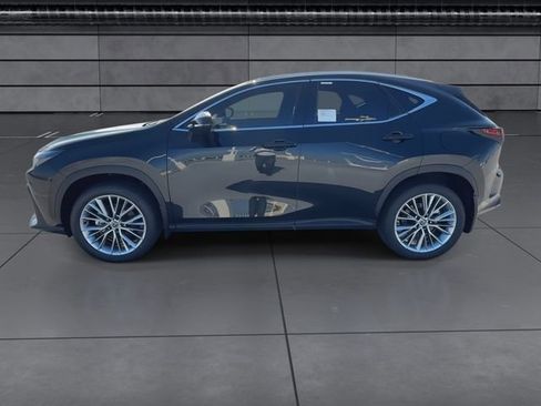 Used 2025 Lexus NX 350h AWD w/ Premium Package image 5