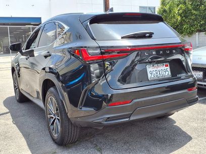 Used 2024 Lexus NX 350 AWD w/ Cold Area Package