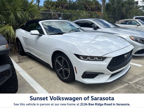 Used 2024 Ford Mustang Premium RWD image 1