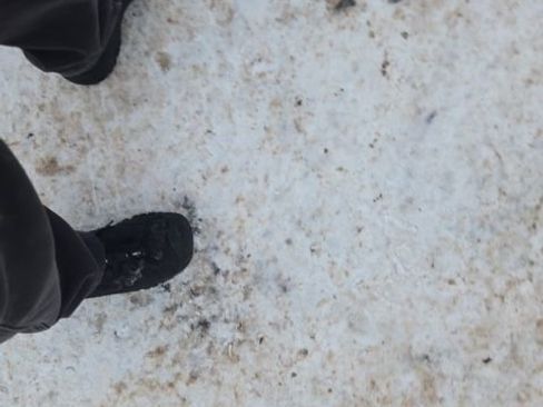 Used 2015 Ford F150 XLT w/ Equipment Group 302A Luxury image 7