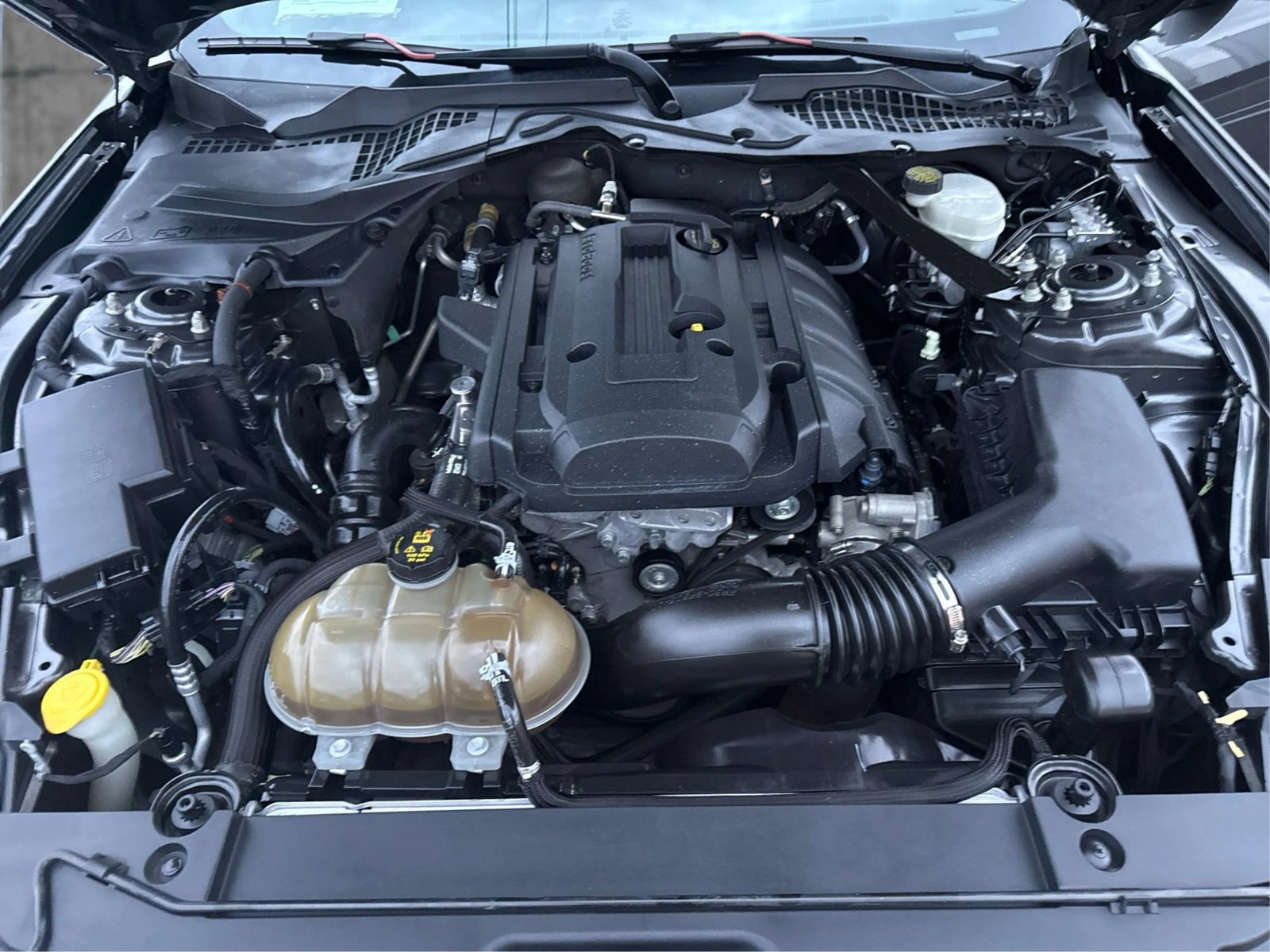 Used 2015 Ford Mustang Premium RWD image 11