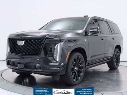 Used 2026 Cadillac Escalade Platinum Sport w/ LPO, ONYX Package