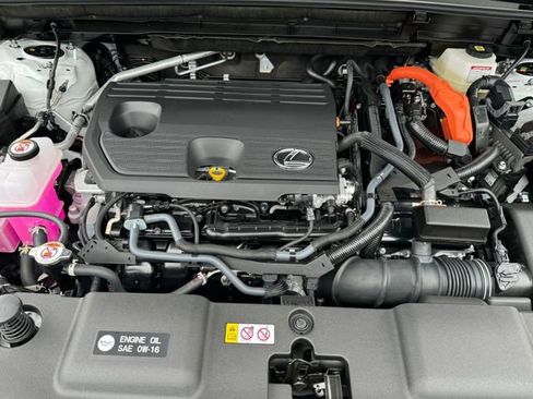 New 2025 Lexus NX 350h AWD w/ Cold Area Package image 11