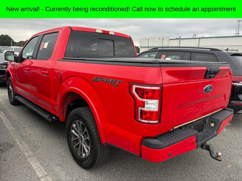 Used 2019 Ford F150 XLT w/ Equipment Group 302A Luxury AWD/4WD image 6
