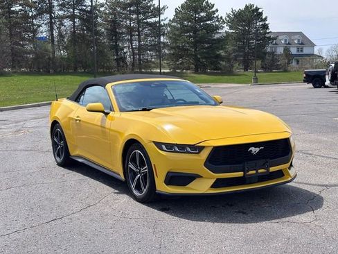 Used 2024 Ford Mustang Premium image 7