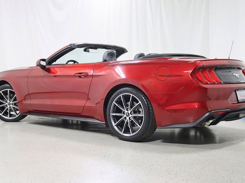 Used 2019 Ford Mustang Premium w/ Equipment Group 201A image 10