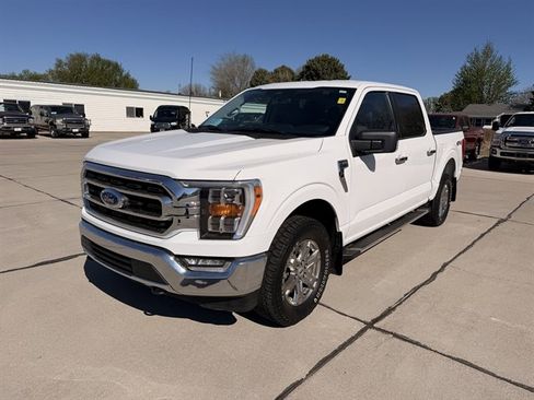 Used 2023 Ford F150 XLT w/ Equipment Group 302A High AWD/4WD image 10