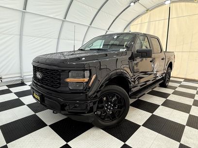 New 2025 Ford F150 STX w/ STX Black Appearance Package