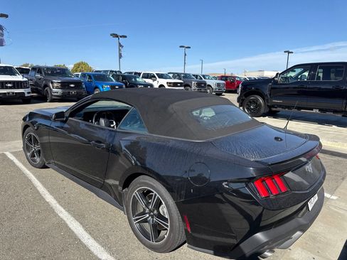 Used 2025 Ford Mustang Premium RWD image 2