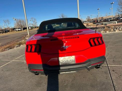 Used 2024 Ford Mustang Premium image 7