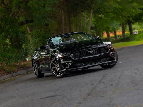 Used 2019 Ford Mustang Premium w/ Equipment Group 201A RWD image 24