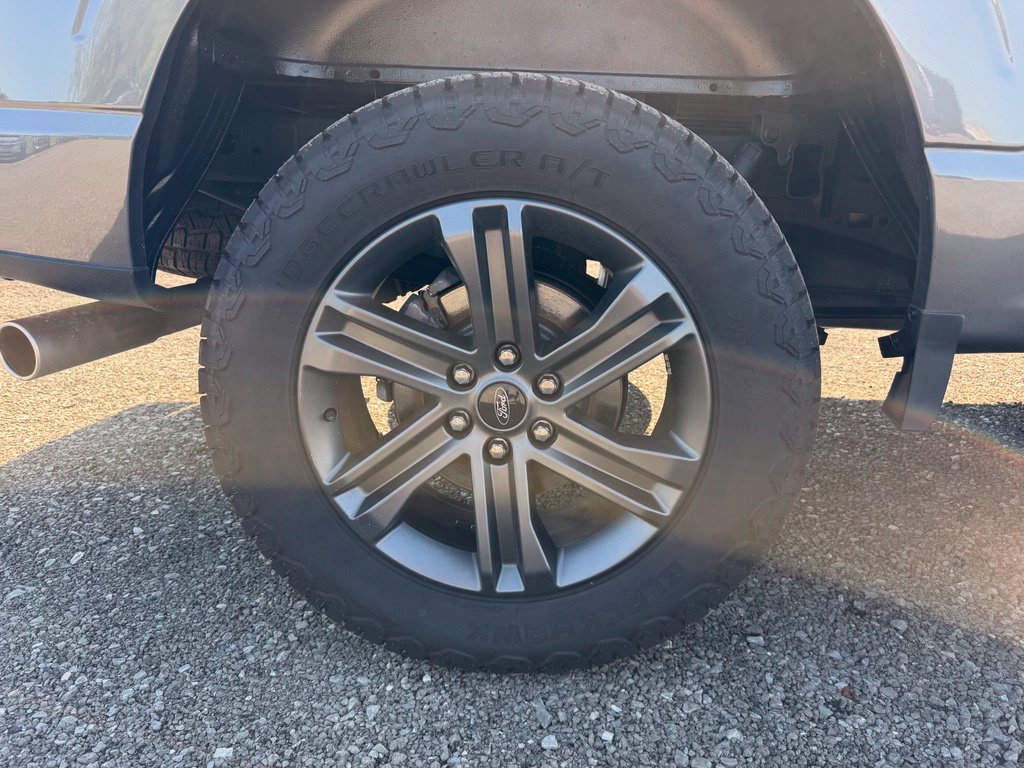 Used 2023 Ford F150 XLT w/ Equipment Group 302A High AWD/4WD image 21