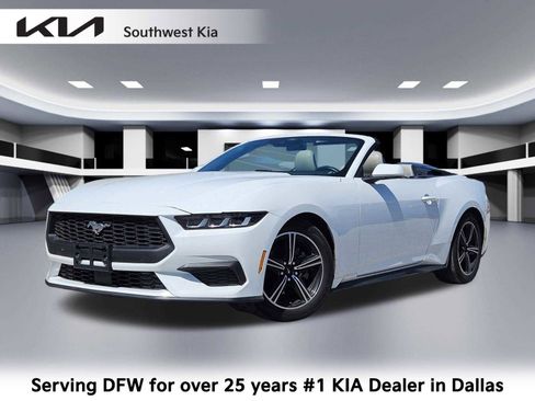 Used 2024 Ford Mustang Premium image 1