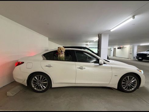 Used 2018 INFINITI Q50 Luxe w/ Essential Package (3.0T Luxe) AWD/4WD image 1