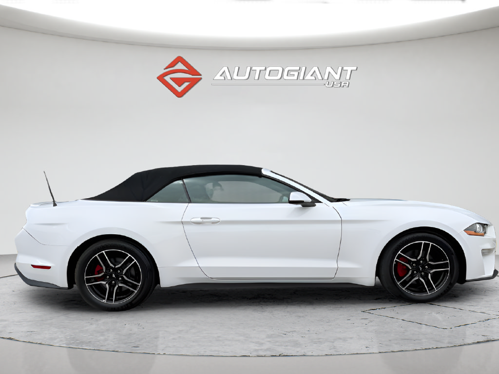 Used 2019 Ford Mustang Premium RWD image 12