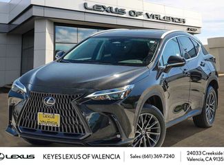 New 2026 Lexus NX 350 AWD w/ Cold Area Package video 1