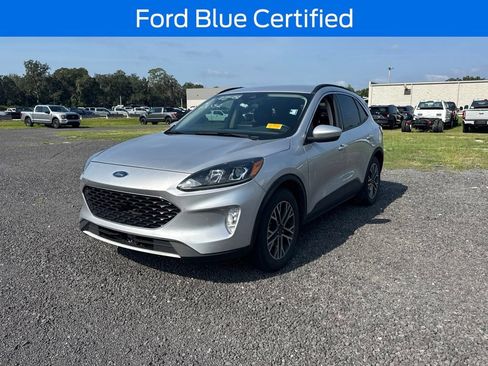 Used 2020 Ford Escape SEL FWD image 1