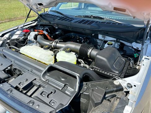 Used 2025 Ford F150 XLT w/ Equipment Group 301A Standard AWD/4WD image 24