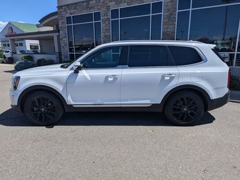 Used 2021 Kia Telluride SX w/ SX Prestige Package AWD/4WD image 2