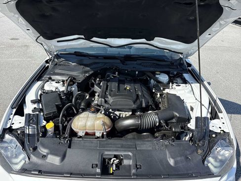 Used 2019 Ford Mustang Premium w/ Equipment Group 201A RWD image 28