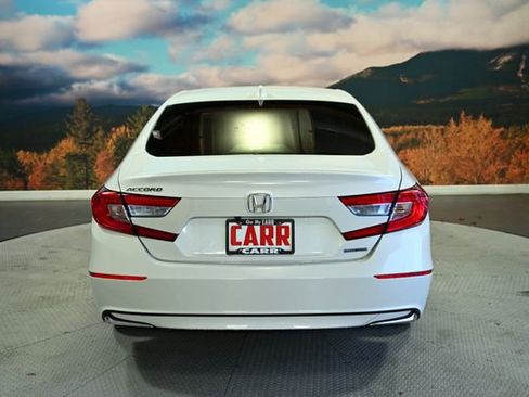 Used 2020 Honda Accord EX-L image 7