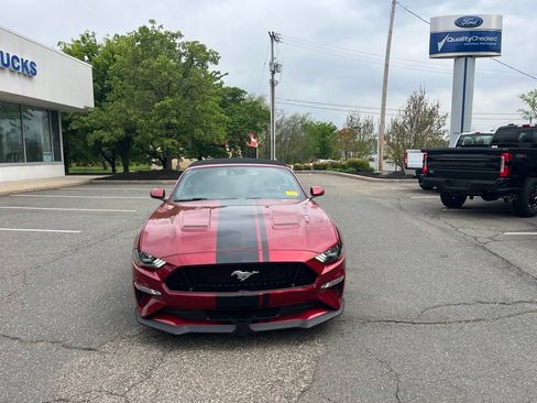 Used 2019 Ford Mustang GT Premium w/ GT Performance Package RWD image 2