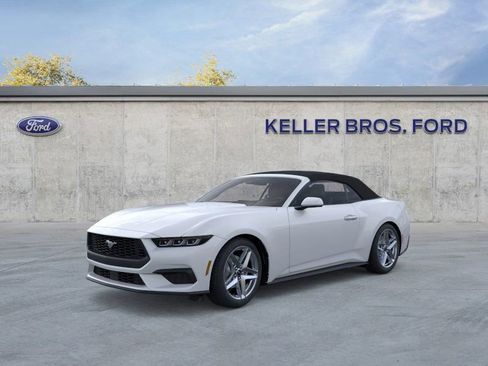 New 2025 Ford Mustang EcoBoost image 2