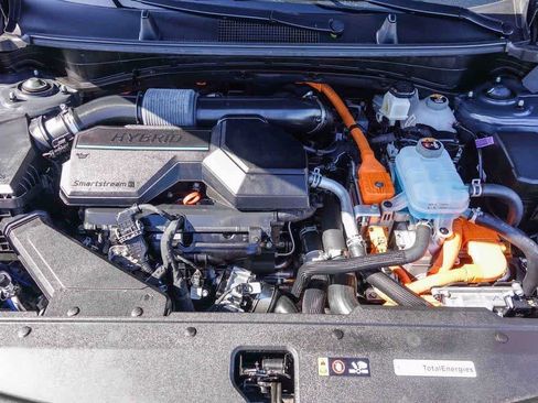 Used 2024 Kia Sportage X-Line image 25