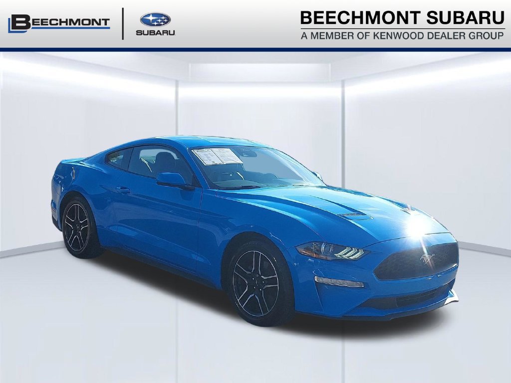 Used 2023 Ford Mustang Premium w/ Equipment Group 201A RWD image 1