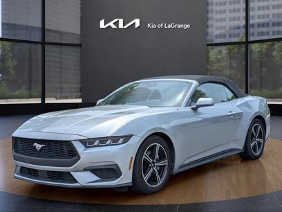 Used 2024 Ford Mustang Premium