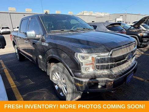 Used 2019 Ford F150 King Ranch w/ Equipment Group 601A Luxury image 1