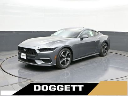 New 2025 Ford Mustang EcoBoost