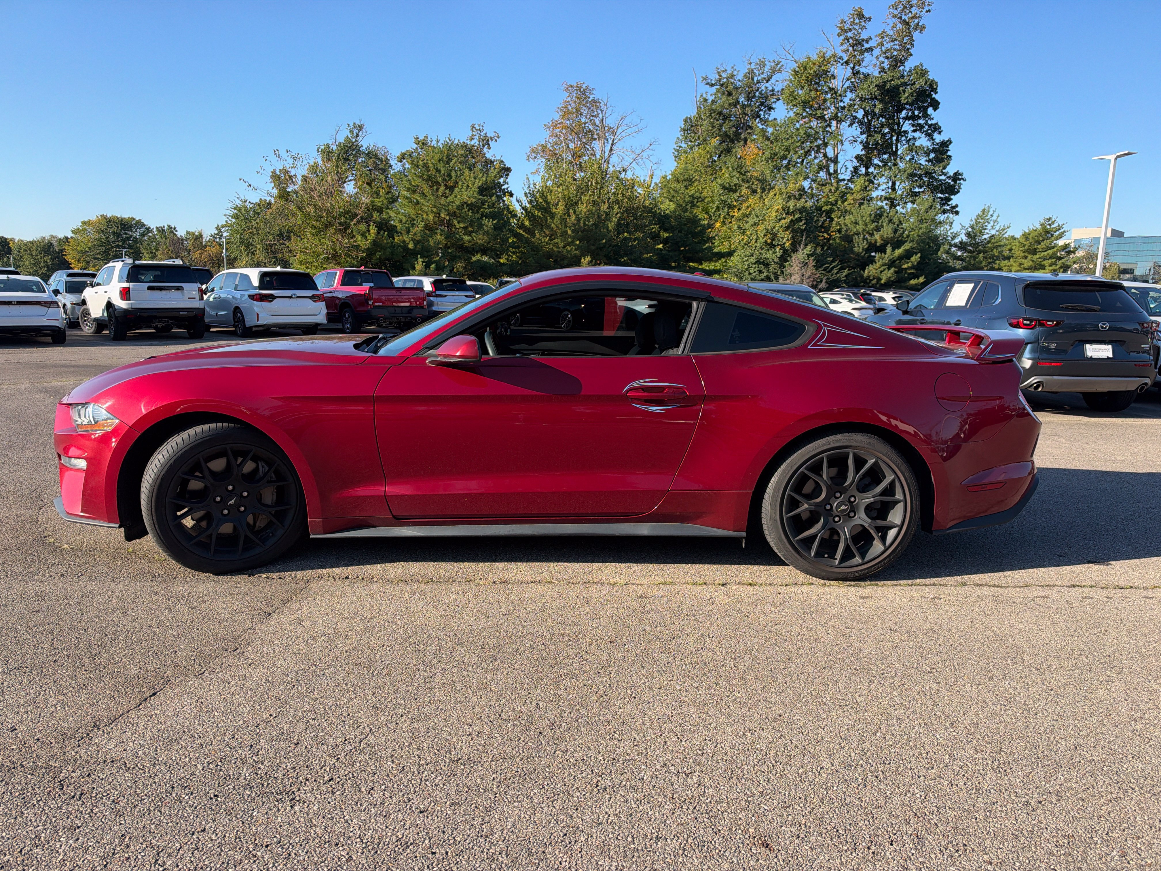 Used 2018 Ford Mustang Coupe w/ Ecoboost Performance Package RWD image 2
